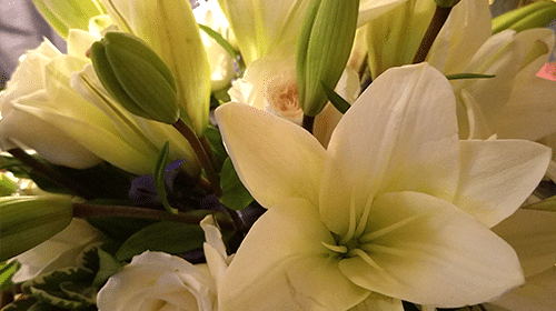 Floral Arrangement in Room Add On Service at Boone's Colonial Inn of St Charles Mo